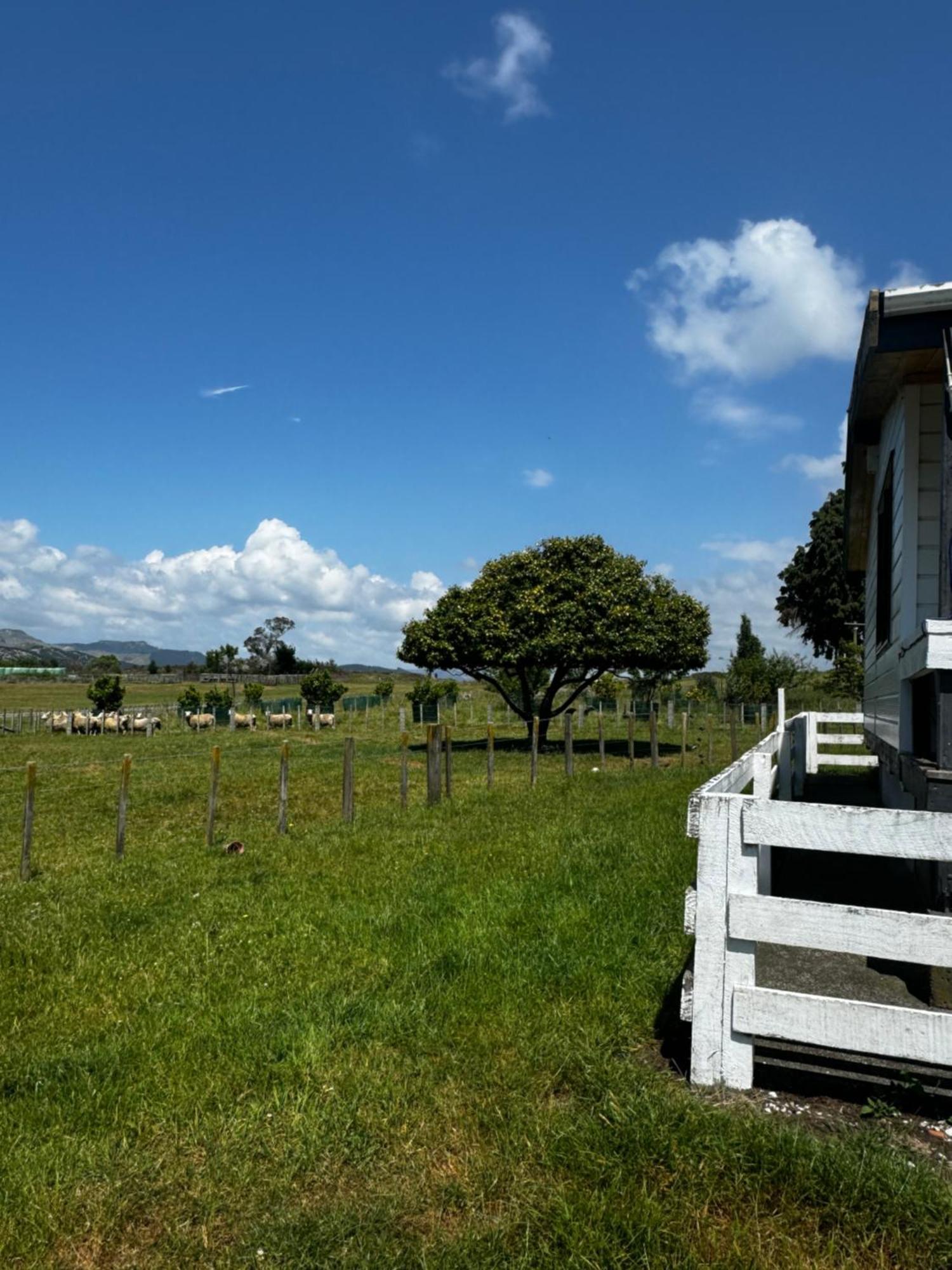 Lockwood Country House Retreat Putorino Dış mekan fotoğraf